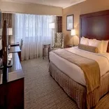 NameCrowne Plaza Hotel St. Louis Airport an IHG Hotel