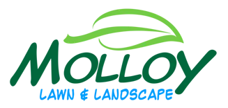 Molloy Lawn and Landscape