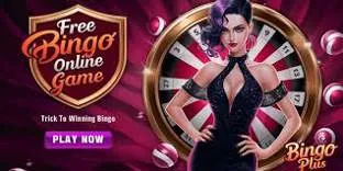 BINGOPLUS1