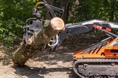 Tree Services Westfield