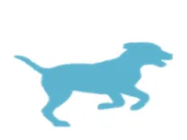 dog-training.me