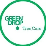 Green Drop Trees