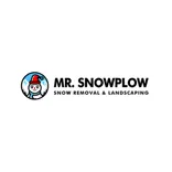 Mr. Snowplow