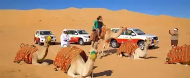 Desert Planet Tourism LLC