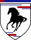 Black Mustang Transport