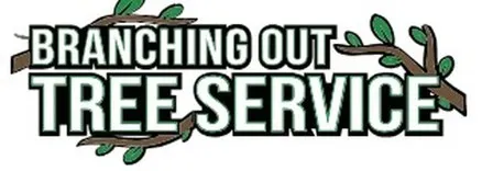 Tree Service & Removal Nassau County