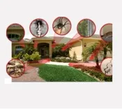 Pest Control Pro