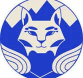 Bobcat Cleans Service