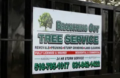 Poorman's Tree Service & Removal by Branching Out