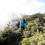 Volcano House