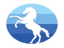 Bluechip Builder