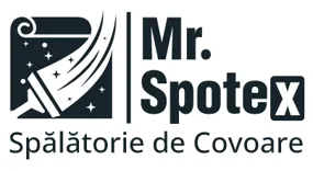 Mr. Spotex