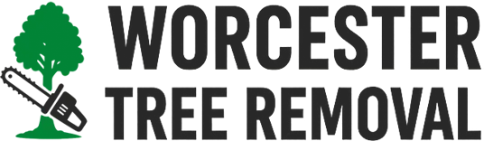 Worcester Tree Removal