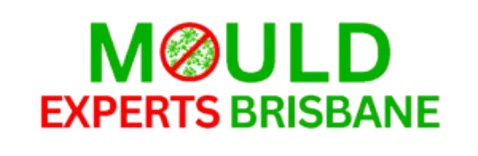 Mould Experts Brisbane