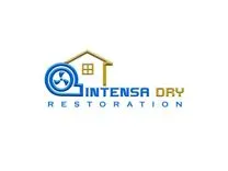 Intensa Dry