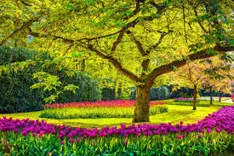 John smith Garden Service
