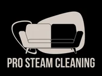 Pro Steam Cleaning