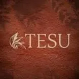 Tesu India