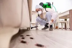 Envirotreat | Pest control service in Rockville MD