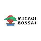 Miyagi Bonsai
