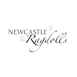 Newcastle Ragdolls 