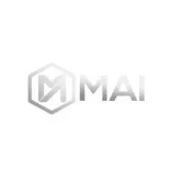 M&A Institute