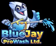 Blue Jay Pro Wash