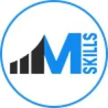 Online financial modeling courses