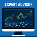 Internet Marketing, Forex Trading and Crypto Scams