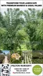 Pelton Bamboo Nursery