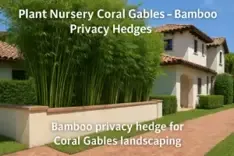 Pelton Bamboo Nursery