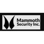 Mammoth Security Inc. Holyoke