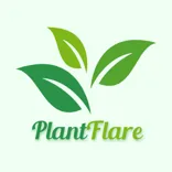 Plant Care Guide