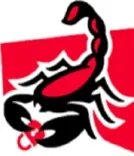 Scorpion Locksmith Houston