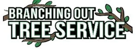 Tree Service & Removal Nassau County