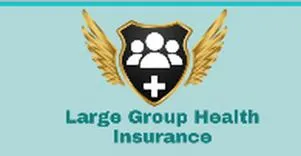 Large Group Health Insurance Services