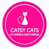 Catsy Cats – Exotic & Sphynx Cattery