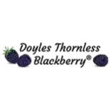 Doyle's Thornless Blackberry Plants