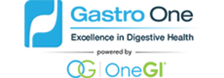 Gastro One