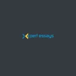 expert essays writers