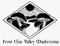 From This Valley Mushrooms