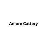 Amore Cattery
