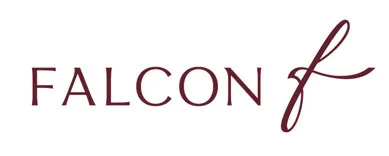 Fly Falcon | luxury jet charter Dubai