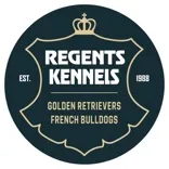 Regents Kennels - French Bulldogs and Golden Retrievers