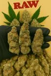 Telegram weed shop