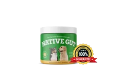 NativeGut: Natural Digestive Support for Dogs’ Health and Well-Being