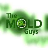 The Mold Guys 