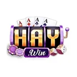 haywin88online