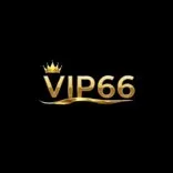 vip66vnorg