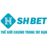 SHBet123 Top